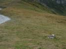 Immagine 088.jpg